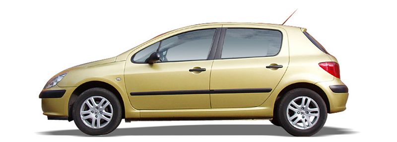 Peugeot 307 (1)