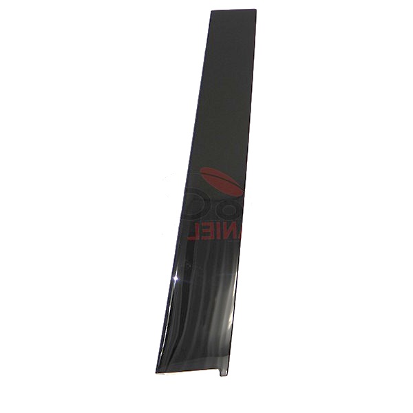 Enjoliveur cadre glace, porte avant gauche