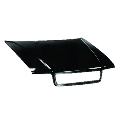 Capot moteur , a peindre
