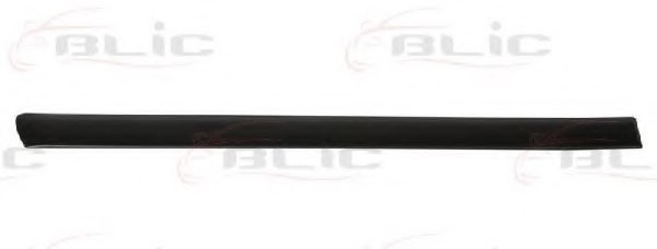 Moulure de porte arrière gauche, noire