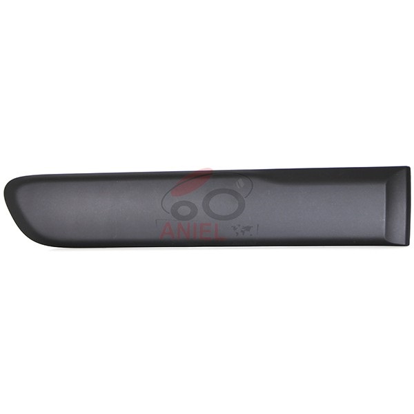 Moulure de porte arrière droite, noire