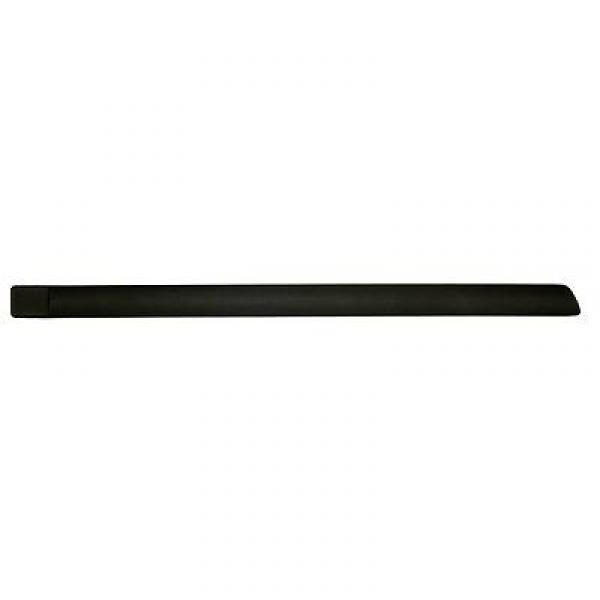 Moulure de porte arrière droite, noire
