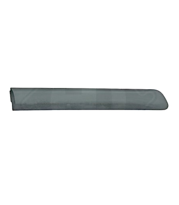 Moulure de porte avant gauche, noire