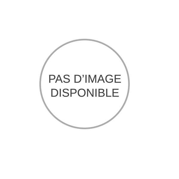 Pare-chocs arrière, a peindre